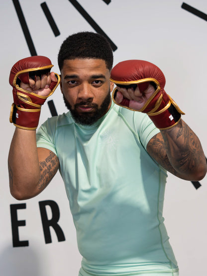 Sparring full leather gloves