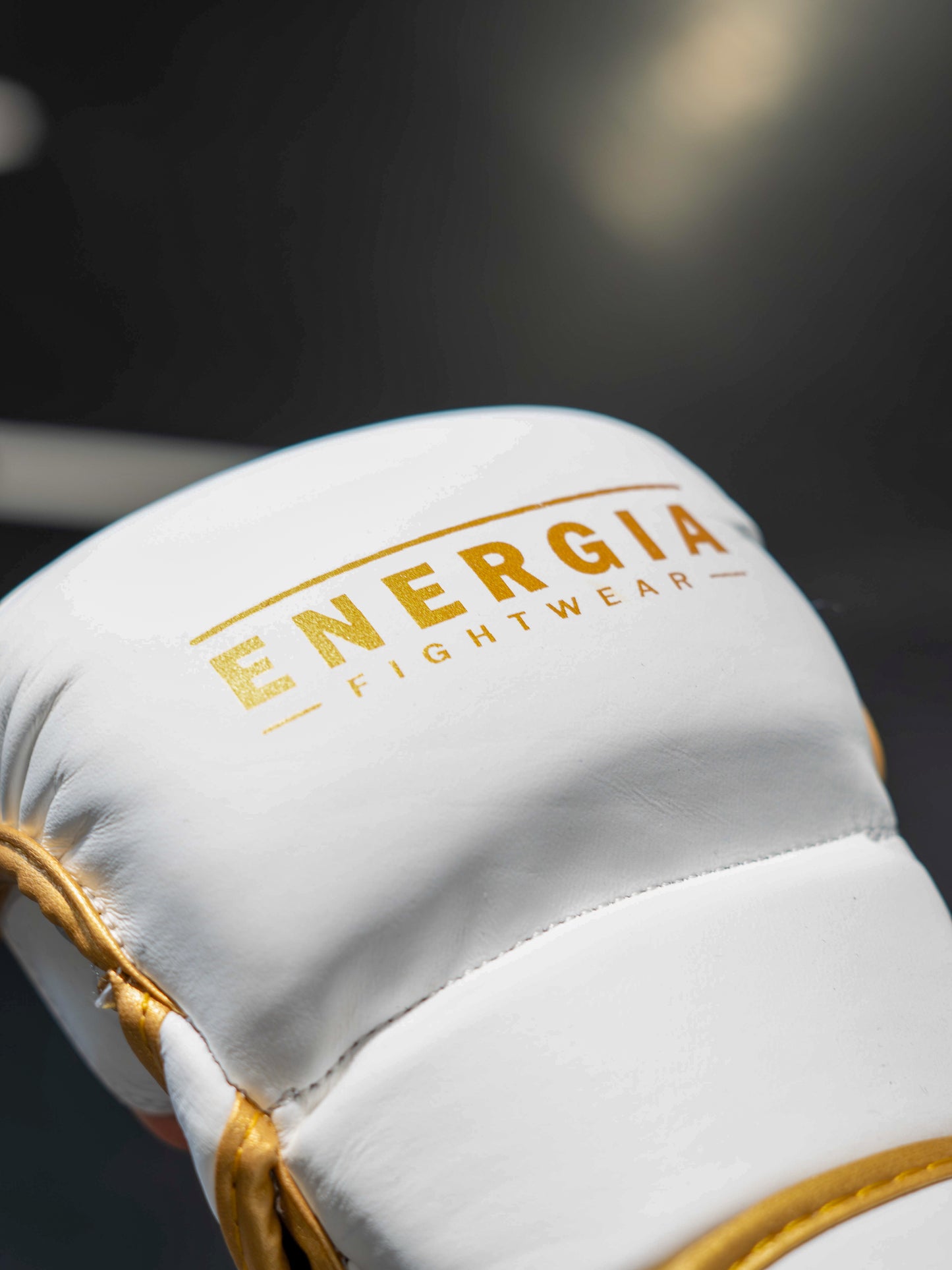 Sparring full leather gloves