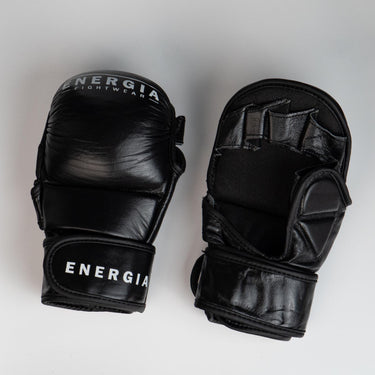 Sparring handschoenen van volledig leer