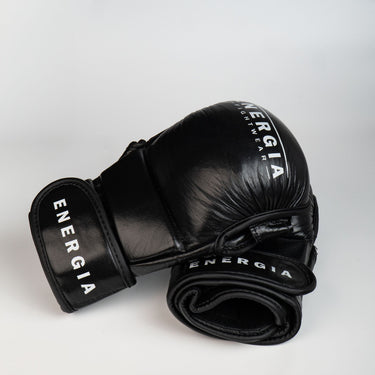 Sparring handschoenen van volledig leer